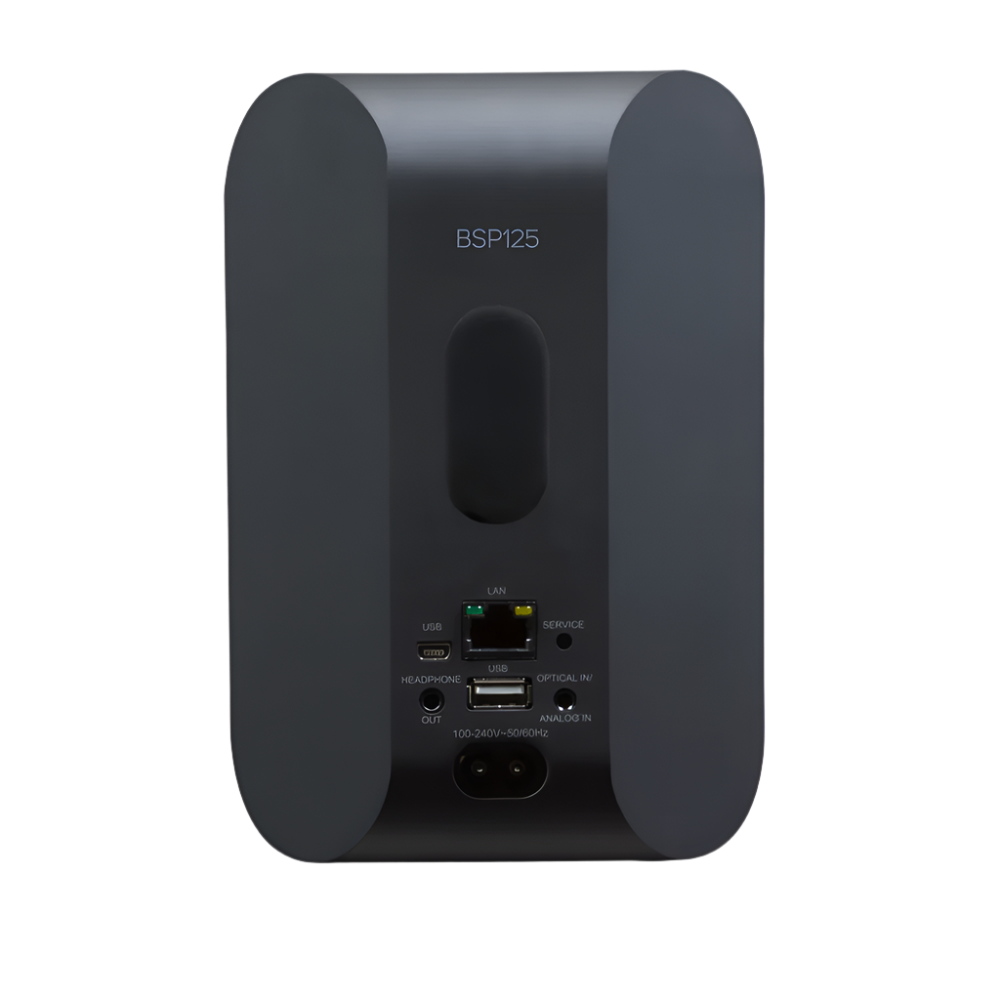 BSP125 Compact Network Streaming Speaker (Each)