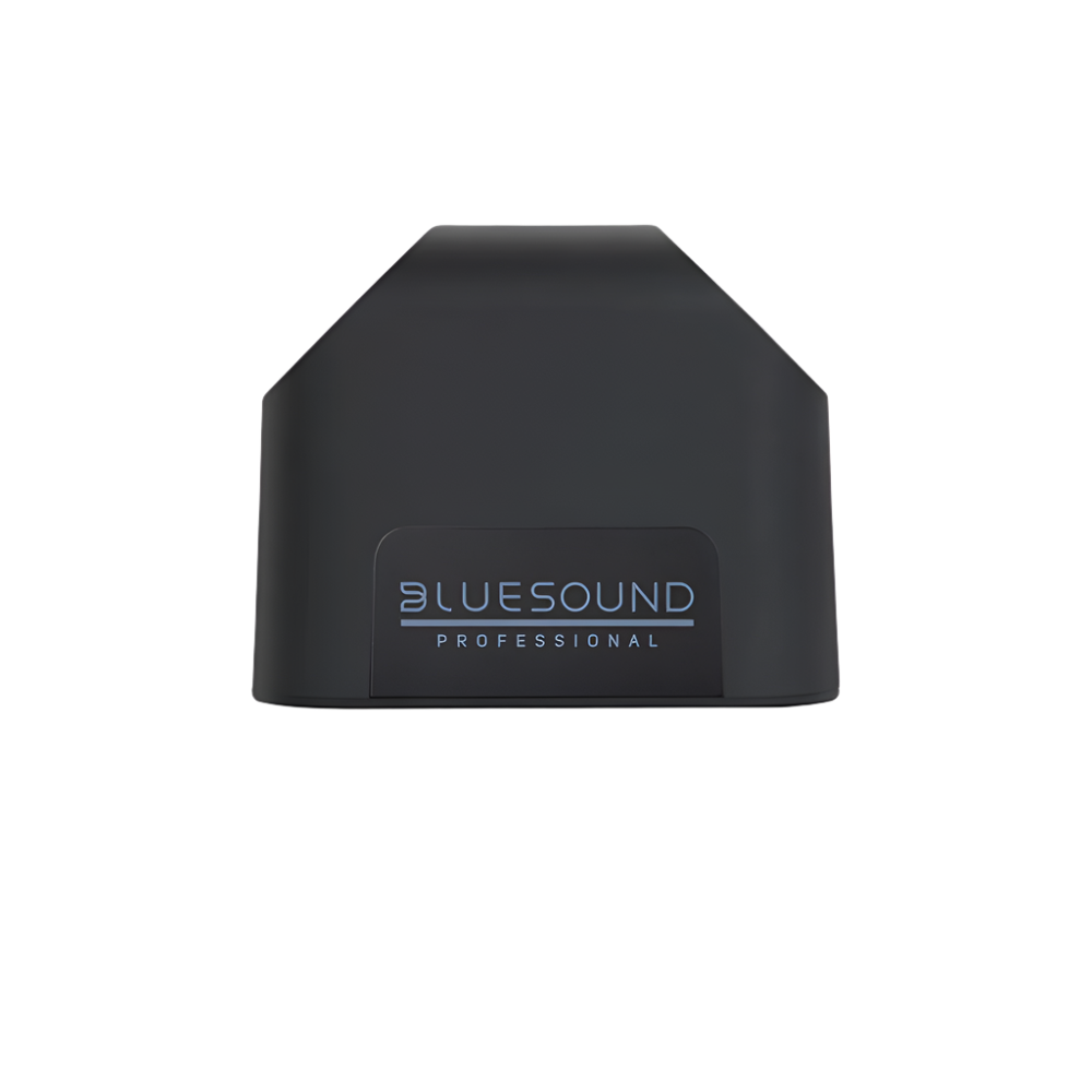 BSP125 Compact Network Streaming Speaker (Each)