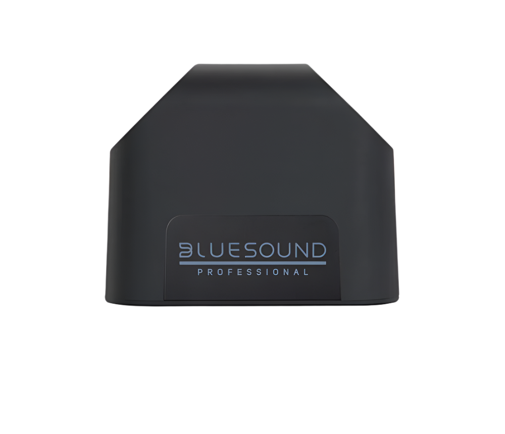 BSP200 PoE Compact Network Streaming Speaker (Each)