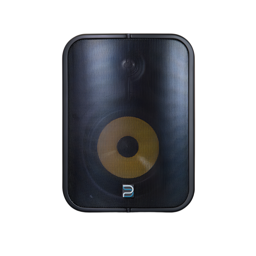 BSP1000 POE Network Streaming Speaker 6.5" (Each)