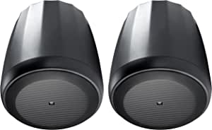 Control C67PT 6.5" Speaker Pendant (Pair)
