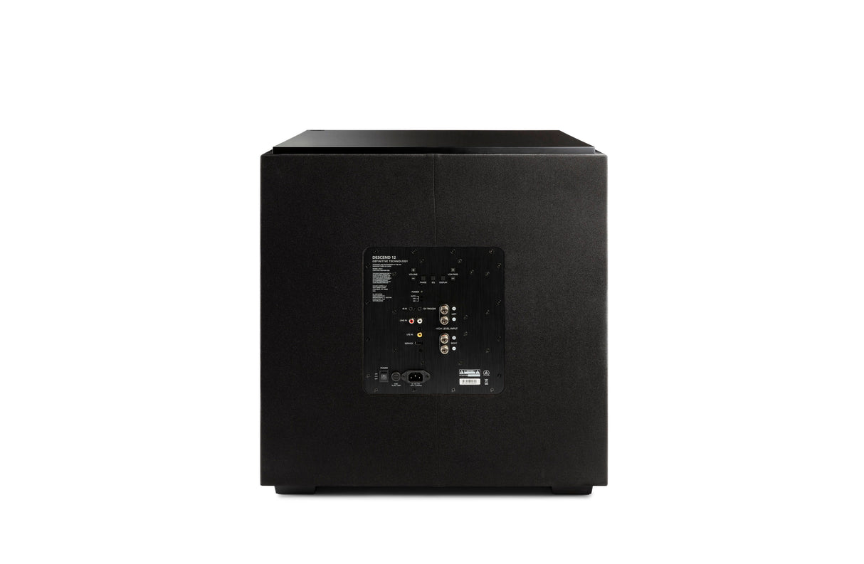 DNSUB12 12" 1500W Subwoofer with Dual 12" Bass Radiators