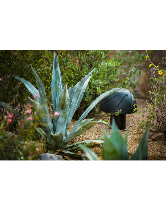 Music Garden Outdoor Landscape Speaker Package