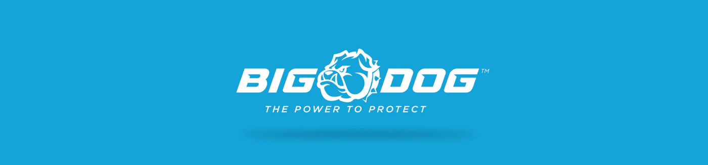 Big Dog