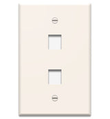WP3402 Single Gang Wall Plate 2-Port