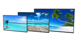 Neptune Full Sun Outdoor 4K w/Outdoor Tilt Mount (2026 Model)