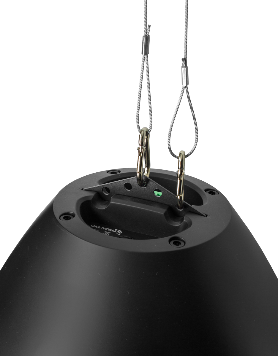 BD-8BK 8" Speaker Pendant BeatDrop commercial 70V/100V/8 ohm  w/Gripple Black