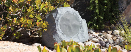 RK-8-GY Elements Series 8" Outdoor Speaker Rock Gray