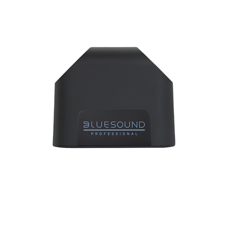 BSP125 Compact Network Streaming Speaker (Each)