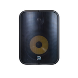 BSP1000 POE Network Streaming Speaker 6.5" (Each)
