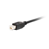 CG38998 USB 2.0 A Male To A Female Active Extension Cable 39.3'
