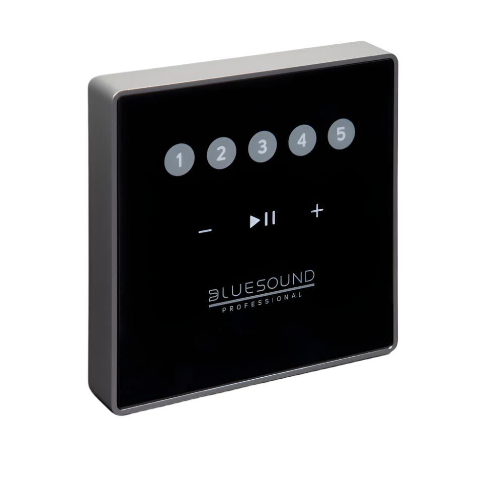 CP100 Wall-Mount Keypad Controller