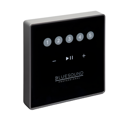 CP100 Wall-Mount Keypad Controller