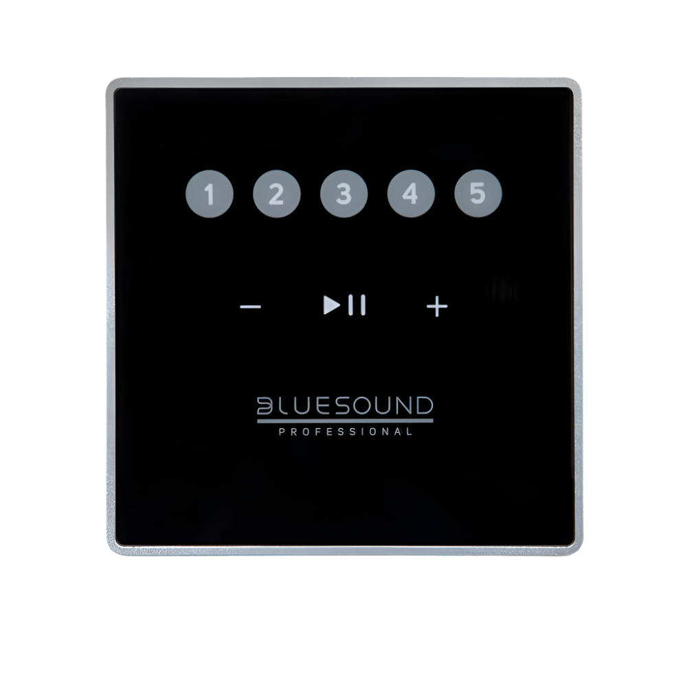 CP100 Wall-Mount Keypad Controller