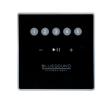 CP100 Wall-Mount Keypad Controller