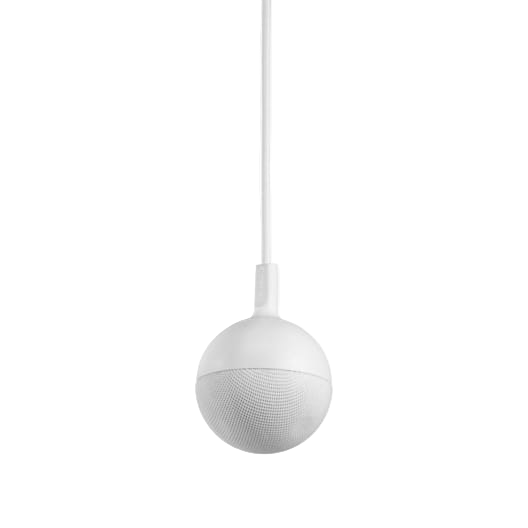 EasyIP Ceiling MIC D