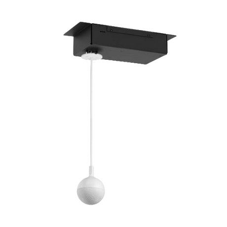 EasyIP Ceiling MIC D