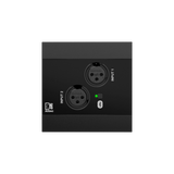 NWP220 Dante Enabled PoE Network Input Panel w/2 XLR and integrated Bluetooth