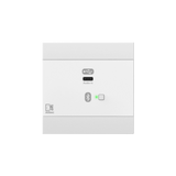 NWP400 Dante Enabled PoE Network Input Panel w/USB Type C and integrated Bluetooth