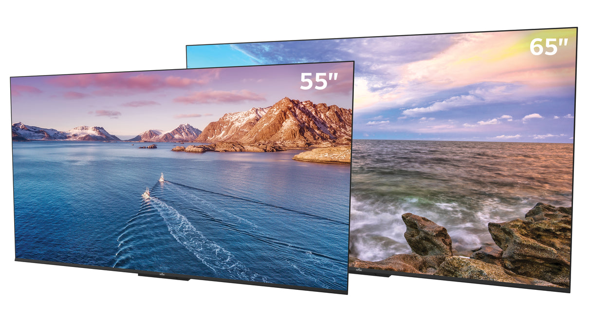 Neptune Outdoor Smart TV Shade