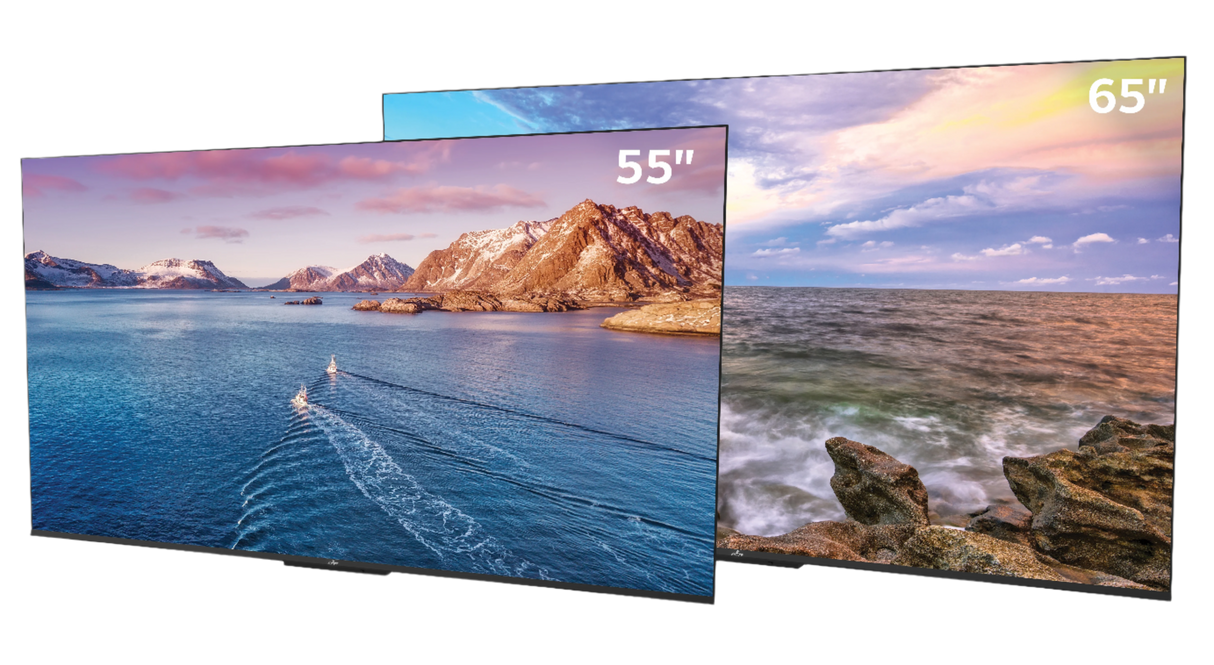 Neptune Shade Outdoor Smart TV