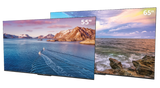 Neptune Shade Outdoor Smart TV