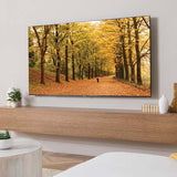 VXL7-B2 Fixed Mount For 65" - 140" Flat-Panel TVs up to 300 lbs.