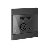 WP205 Remote Input Panel Microphone & Line Input