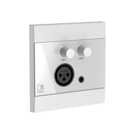 WP210 Universal Wall Panel with Mic & Line Input