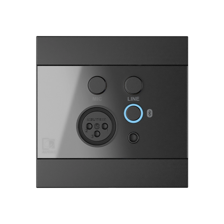 WP225 Universal Wall Panel with Microphone, Line Input & Bluetooth Receiver