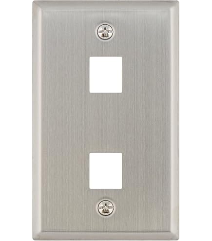 WP3402 Single Gang Wall Plate 2-Port