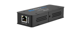 DA11ADE-V2 2 Channel Dante Decoder