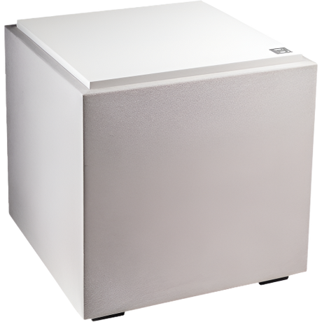 DNSUB10 500W Subwoofer with Dual 10” Bass Radiators