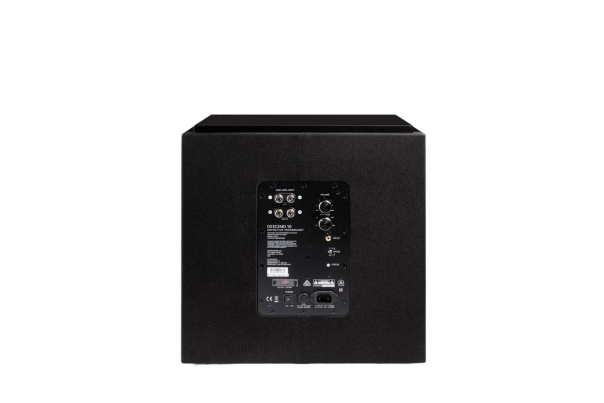 DNSUB10 500W Subwoofer with Dual 10” Bass Radiators