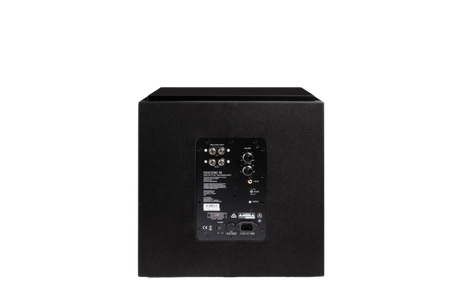 DNSUB10 500W Subwoofer with Dual 10” Bass Radiators