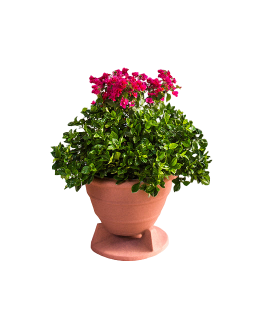 Omniplanter 6.5TC 6.5" Speaker Coax On-Ground Planter Round