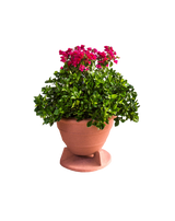 Omniplanter 6.5TC 6.5" Speaker Coax On-Ground Planter Round