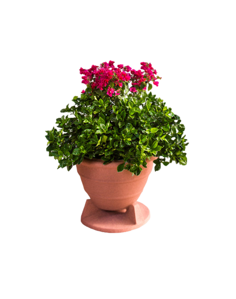Omniplanter 6.5TC 6.5" Speaker Coax On-Ground Planter Round