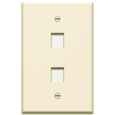 WP3402 Single Gang Wall Plate 2-Port