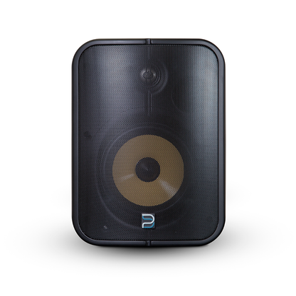 Bluesound Professional BSP1000 POE Network Streaming Speaker 6.5" Black