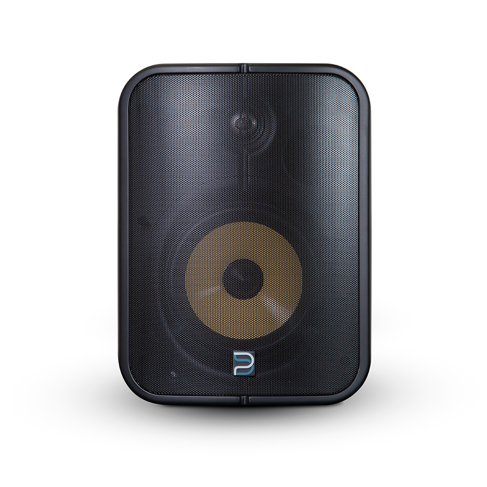 BSP1000 POE Network Streaming Speaker 6.5"